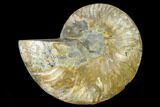 Cut & Polished Ammonite Fossil (Half) - Madagascar #166833-1